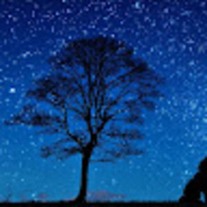 Meet your Posher, Xmre8